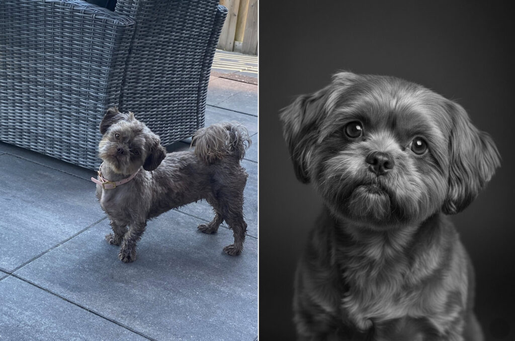 Voor en na fotobewerking: links een kleine hond op het terras, rechts een bewerkt zwart-witportret tegen een donkere achtergrond